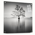 Solitary Tree Reflection - Fine Art Photography Framed Prints
