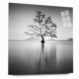 Solitary Tree Reflection - Fine Art Photography Framed Prints