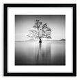 Solitary Tree Reflection - Fine Art Photography Framed Prints