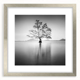 Solitary Tree Reflection - Fine Art Photography Framed Prints