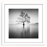Solitary Tree Reflection - Fine Art Photography Framed Prints