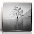 Solitary Tree Reflection - Fine Art Photography Framed Prints
