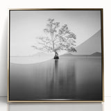 Solitary Tree Reflection - Fine Art Photography Framed Prints