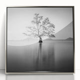 Solitary Tree Reflection - Fine Art Photography Framed Prints