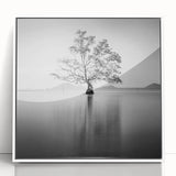 Solitary Tree Reflection - Fine Art Photography Framed Prints