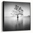 Solitary Tree Reflection - Fine Art Photography Framed Prints