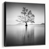Solitary Tree Reflection - Fine Art Photography Framed Prints