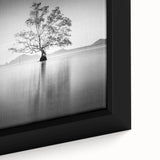 Solitary Tree Reflection - Fine Art Photography Framed Prints