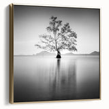 Solitary Tree Reflection - Fine Art Photography Framed Prints