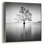 Solitary Tree Reflection - Fine Art Photography Framed Prints
