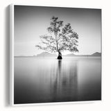 Solitary Tree Reflection - Fine Art Photography Framed Prints