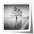 Solitary Tree Reflection - Fine Art Photography Framed Prints