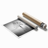 Solitary Tree Reflection - Fine Art Photography Framed Prints