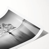 Solitary Tree Reflection - Fine Art Photography Framed Prints