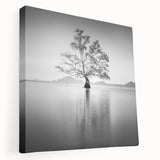 Solitary Tree Reflection - Fine Art Photography Framed Prints