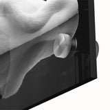 Resting Swan Reflection - Fine Art Photography Acrylic Prints