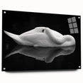 Resting Swan Reflection - Fine Art Photography Acrylic Prints