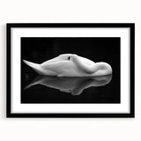 Resting Swan Reflection - Fine Art Photography Acrylic Prints