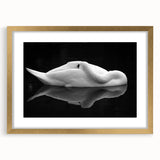 Resting Swan Reflection - Fine Art Photography Acrylic Prints