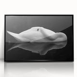 Resting Swan Reflection - Fine Art Photography Acrylic Prints