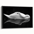 Resting Swan Reflection - Fine Art Photography Acrylic Prints