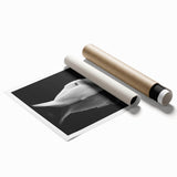 Resting Swan Reflection - Fine Art Photography Acrylic Prints