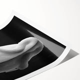 Resting Swan Reflection - Fine Art Photography Acrylic Prints