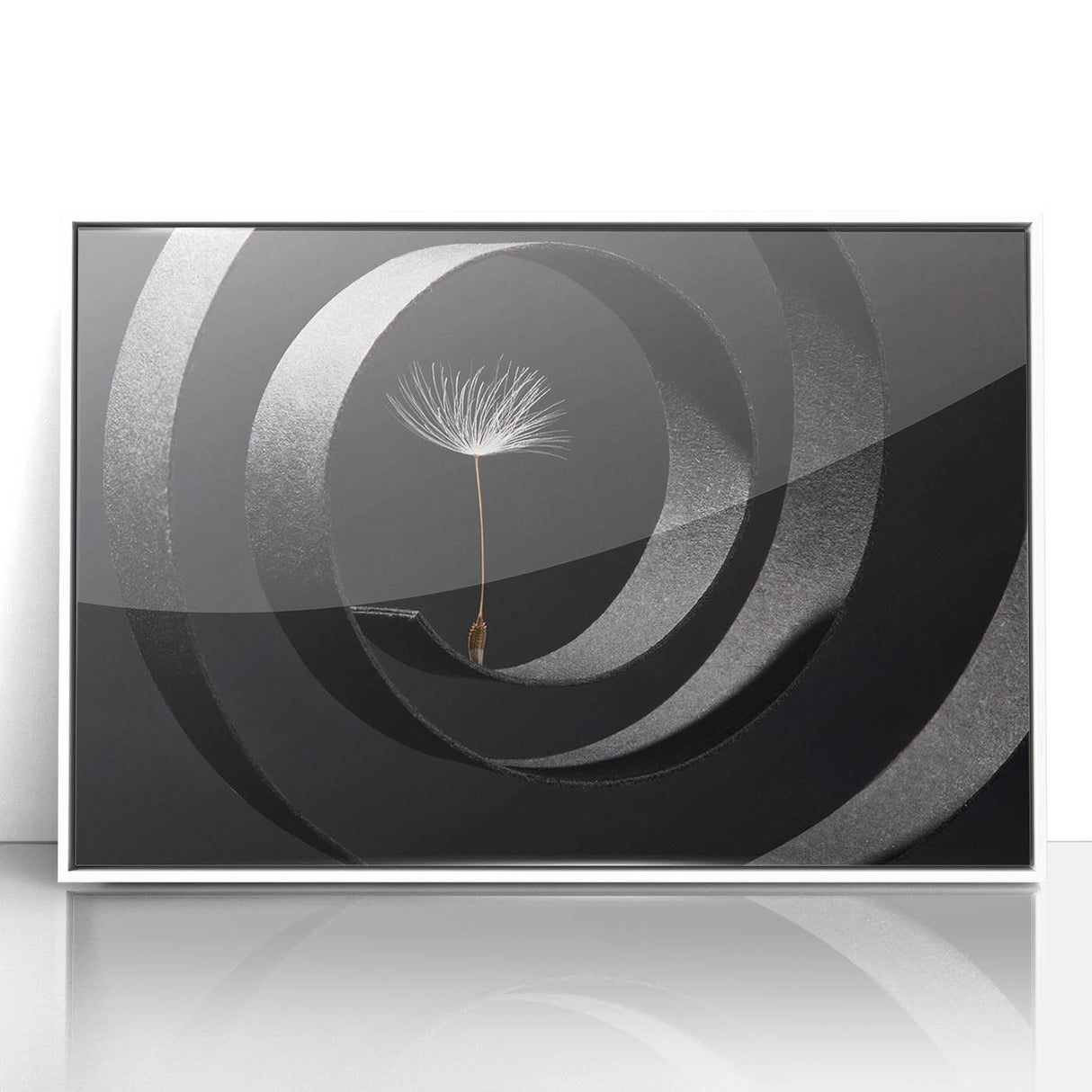 Minimalist Dandelion - Fine Art Photography Metal Prints
