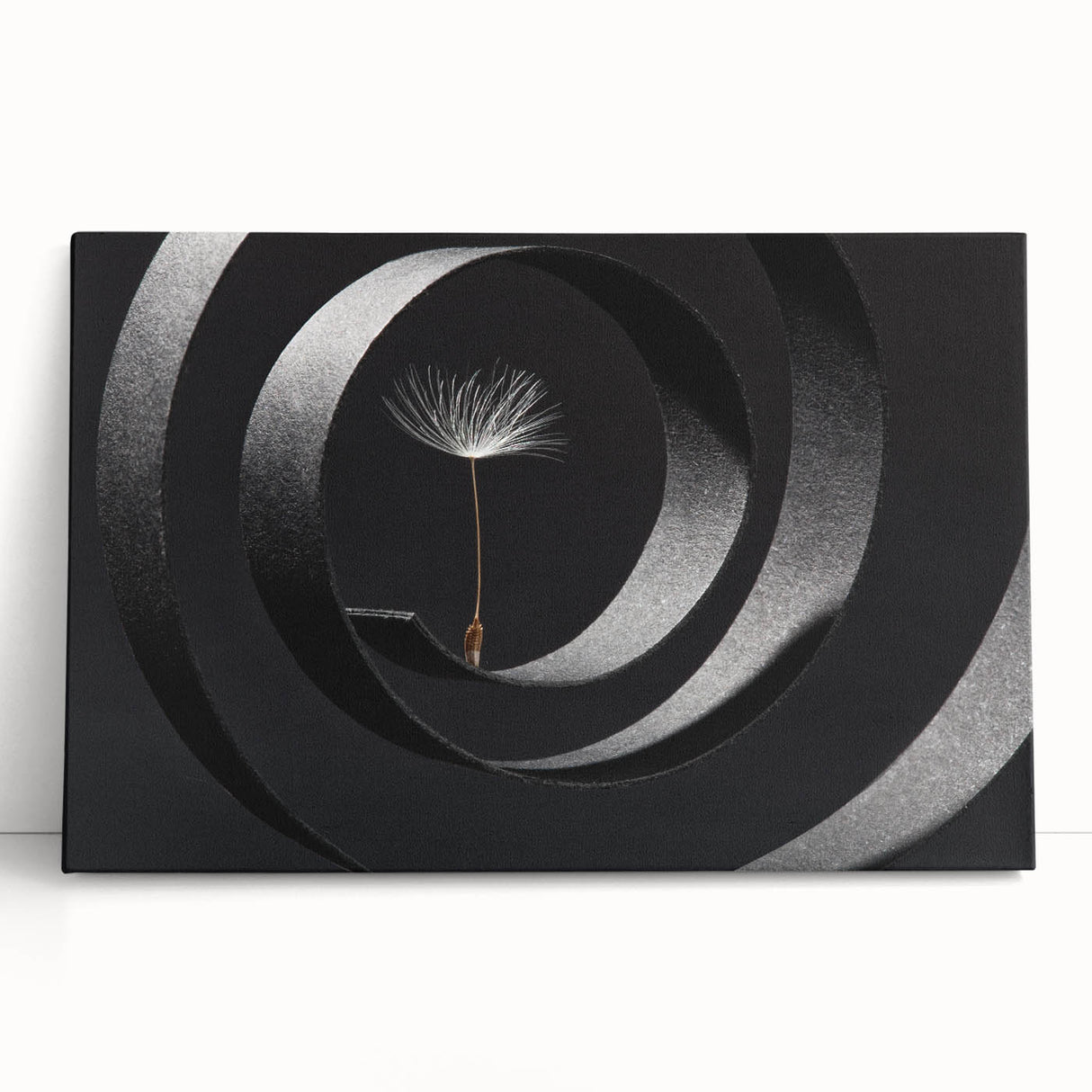 Minimalist Dandelion - Fine Art Photography Metal Prints