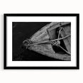 Vintage Boat Textures - Fine Art Photography Framed Prints