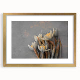 Dried Lotus Elegance - Fine Art Photography Canvas Prints