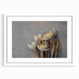 Dried Lotus Elegance - Fine Art Photography Canvas Prints