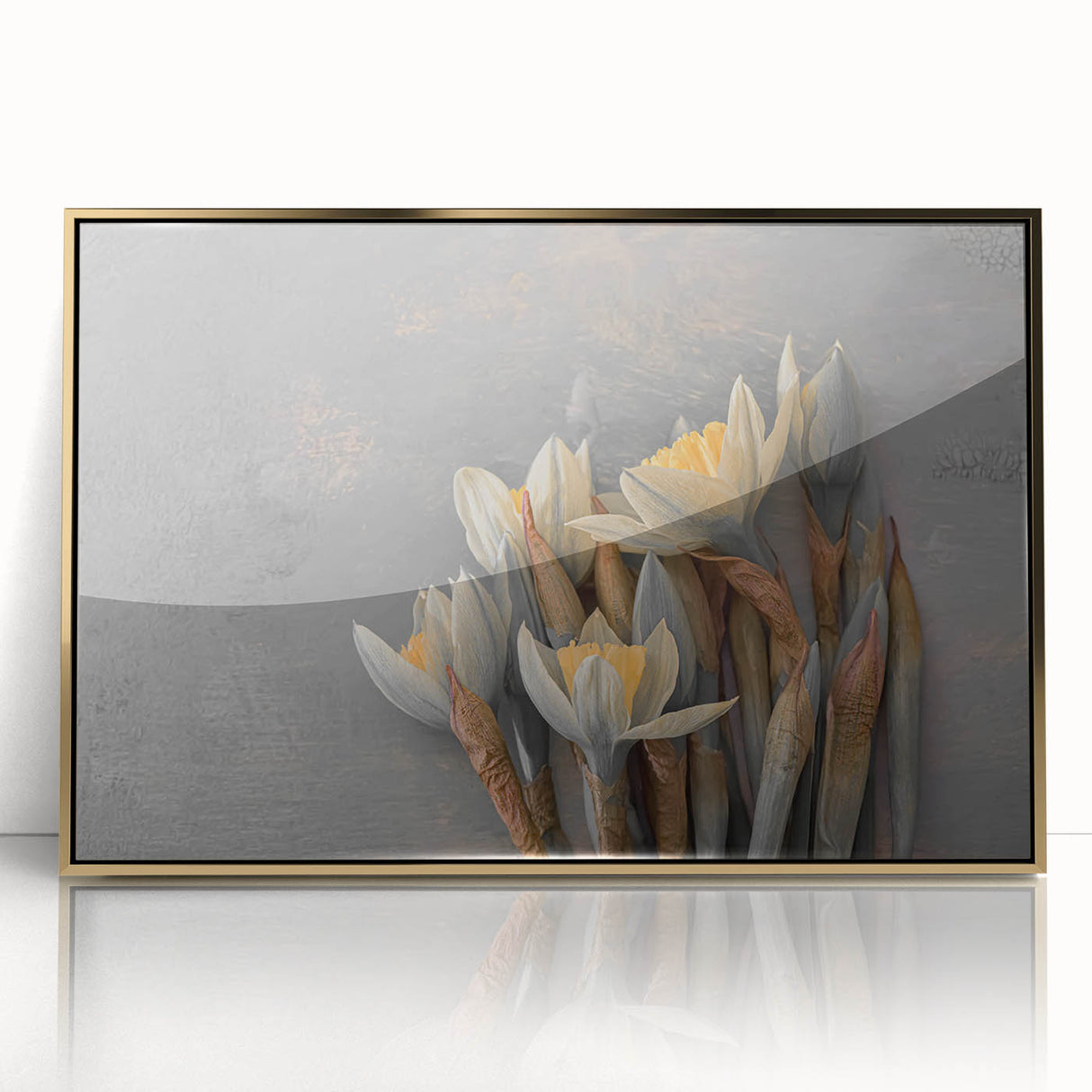 Dried Lotus Elegance - Fine Art Photography Canvas Prints
