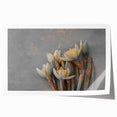 Dried Lotus Elegance - Fine Art Photography Canvas Prints