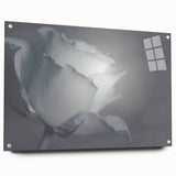 Modern Art Prints – Elegant Black & White Floral Wall Art