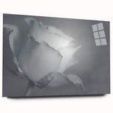 Modern Art Prints – Elegant Black & White Floral Wall Art