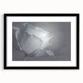 Modern Art Prints – Elegant Black & White Floral Wall Art