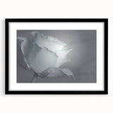 Modern Art Prints – Elegant Black & White Floral Wall Art