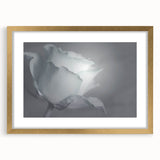 Modern Art Prints – Elegant Black & White Floral Wall Art