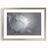Modern Art Prints – Elegant Black & White Floral Wall Art