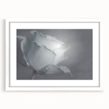 Modern Art Prints – Elegant Black & White Floral Wall Art