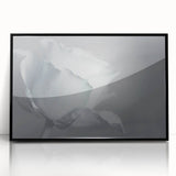 Modern Art Prints – Elegant Black & White Floral Wall Art