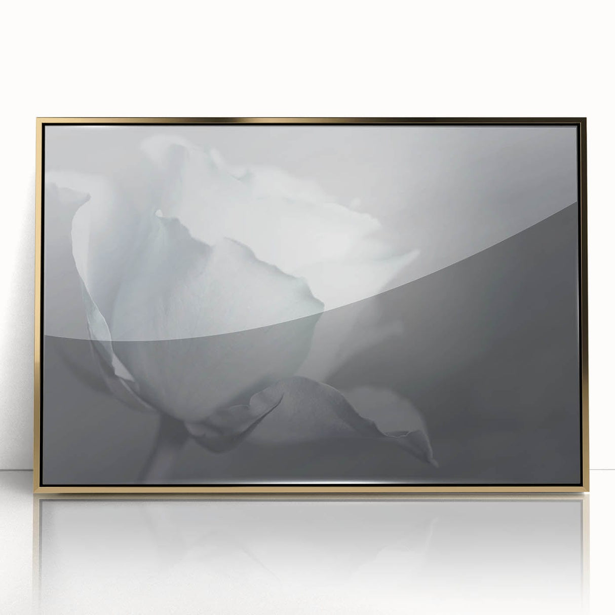 Modern Art Prints – Elegant Black & White Floral Wall Art