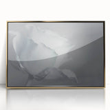 Modern Art Prints – Elegant Black & White Floral Wall Art