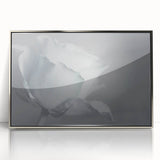 Modern Art Prints – Elegant Black & White Floral Wall Art