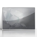 Modern Art Prints – Elegant Black & White Floral Wall Art