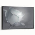 Modern Art Prints – Elegant Black & White Floral Wall Art