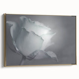 Modern Art Prints – Elegant Black & White Floral Wall Art