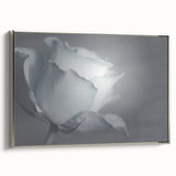 Modern Art Prints – Elegant Black & White Floral Wall Art