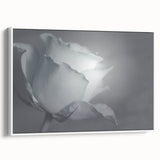 Modern Art Prints – Elegant Black & White Floral Wall Art